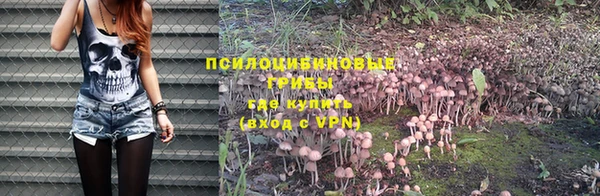 прущая мука Алексеевка