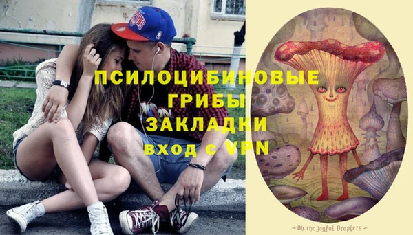 бошки Алзамай